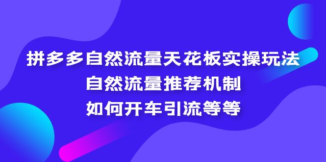 拼多多自然流量天花板实操玩法：自然流量推荐机制，如何开车引流等等-科景笔记