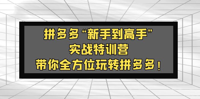 拼多多“新手到高手”实战特训营：带你全方位玩转拼多多！-科景笔记