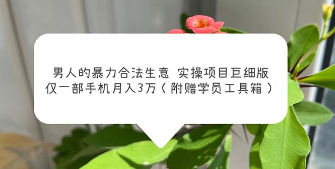 男人的暴力合法生意实操项目巨细版：仅一部手机月入3w（附赠学员工具箱）-科景笔记