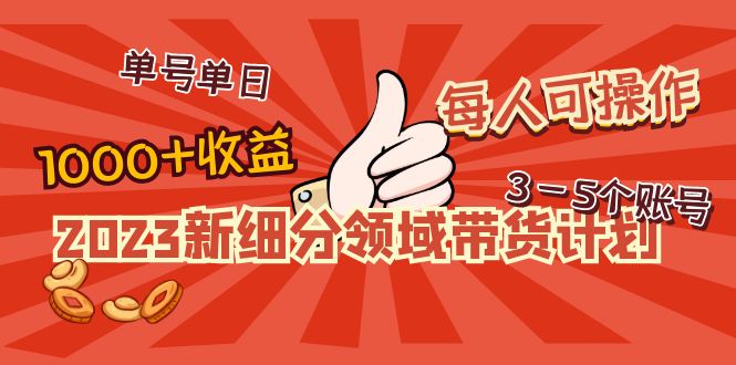 2023新细分领域带货计划：单号单日1000+收益不难，每人可操作3-5个账号-科景笔记