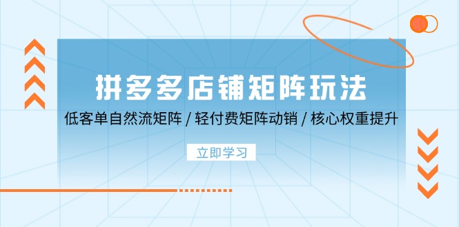 拼多多店铺矩阵玩法：低客单自然流矩阵 / 轻付费矩阵 动销 / 核心权重提升-科景笔记