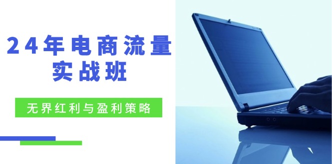 24年电商流量实战班：无界 红利与盈利策略，终极提升/关键词优化/精准…-科景笔记