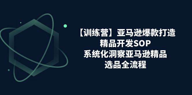 【训练营】亚马逊爆款打造之精品开发SOP，系统化洞察亚马逊精品选品全流程-科景笔记