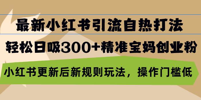 最新小红书引流自热打法，轻松日吸300+精准宝妈创业粉，小红书更新后新…-科景笔记