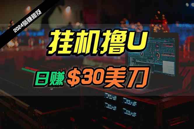 日赚30美刀，2024最新海外挂机撸U内部项目，全程无人值守，可批量放大-科景笔记