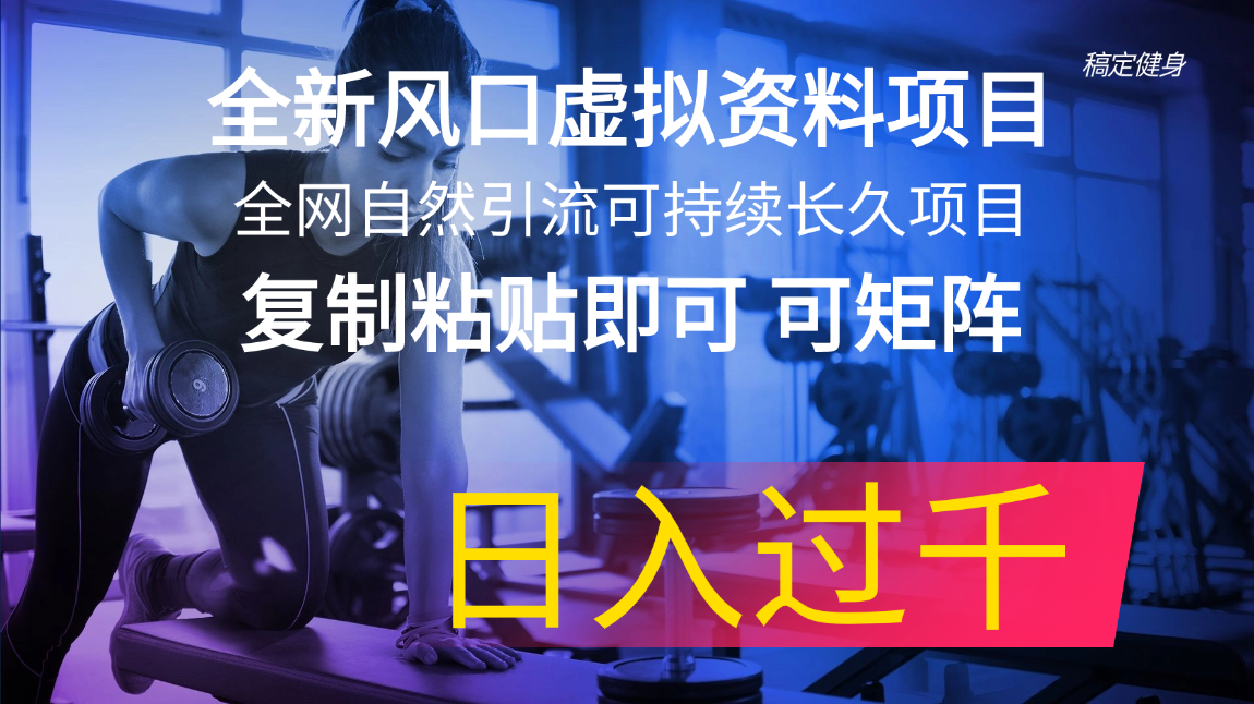 全新风口虚拟资料项目 全网自然引流可持续长久项目 复制粘贴即可可矩阵…-科景笔记