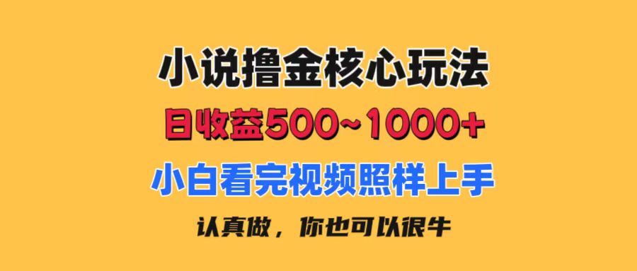 小说撸金核心玩法，日收益500-1000+，小白看完照样上手，0成本有手就行-科景笔记