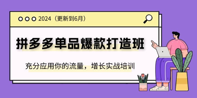 2024拼多多-单品爆款打造班(更新6月)，充分应用你的流量，增长实战培训-科景笔记