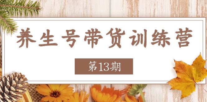 养生号-带货训练营【第13期】收益更稳定的玩法，让你带货收益爆炸-科景笔记