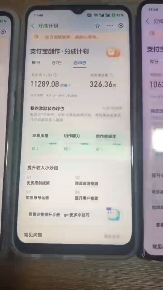 （12970期）2024年底最稳项目，小白无门槛，坚持做三个月，回家过肥年！！！-科景笔记